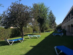 Ein sonniger Außenbereich mit Rasen, Bäumen und mehreren blauen Liegestühlen.