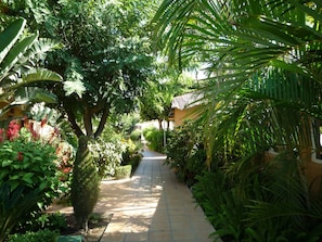 A pathway flanked by lush greenery and a building with a thatched roof. - Luxe Duplex Appartement in Marina del Sol, Mijas (Mijas)