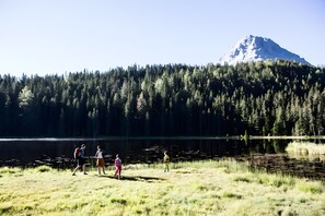 Un grupo de personas caminando cerca de un lago, con un bosque y una montaña al fondo.