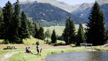 Un cadre agréable au bord du lac, avec des tables de pique-nique, un banc et une vue sur les montagnes.
