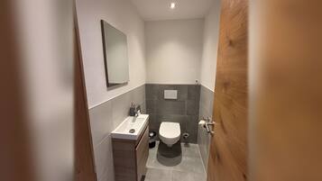 A modern bathroom with a toilet, sink, and mirror.