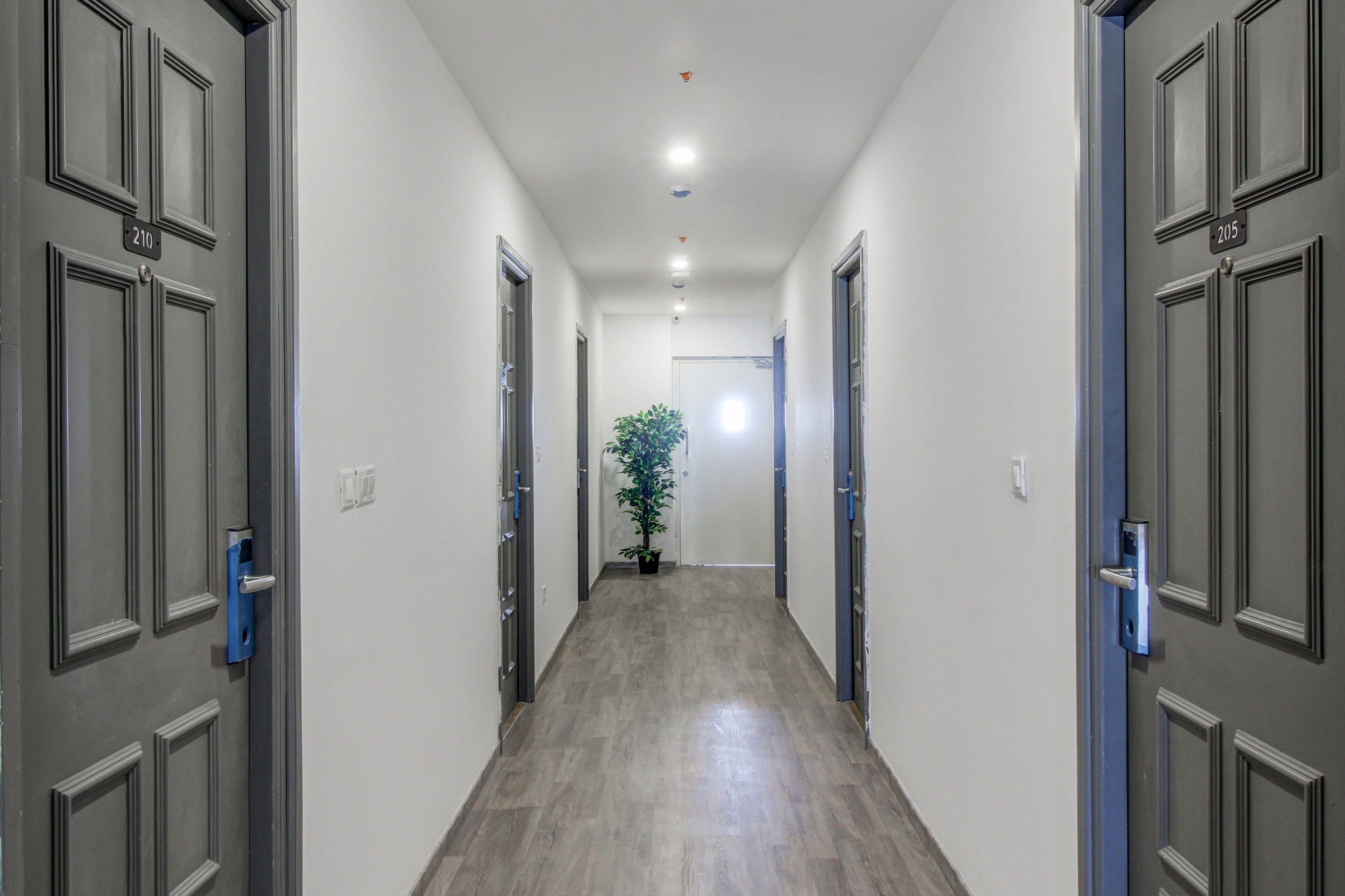 A hallway with doors numbered 210 and 205, leading to rooms.