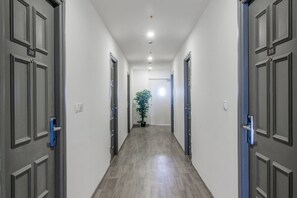 Un pasillo con puertas numeradas 210 y 205, una planta en maceta y una lámpara en el techo.