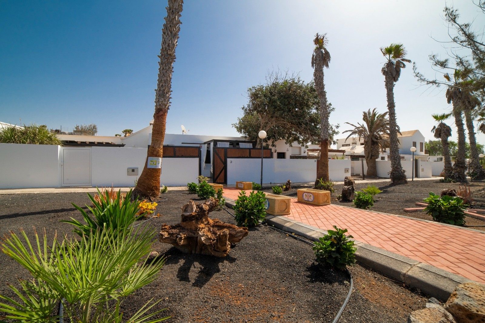 Un patio con palmeras, un sendero de ladrillo y un edificio blanco con puerta oscura.