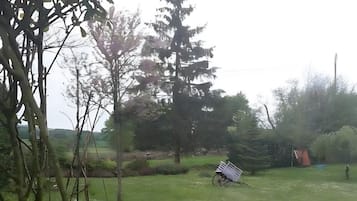 Eine Holzpferdskulptur in einer grünen Parklandschaft mit Bäumen und einem entfernten Gebäude.