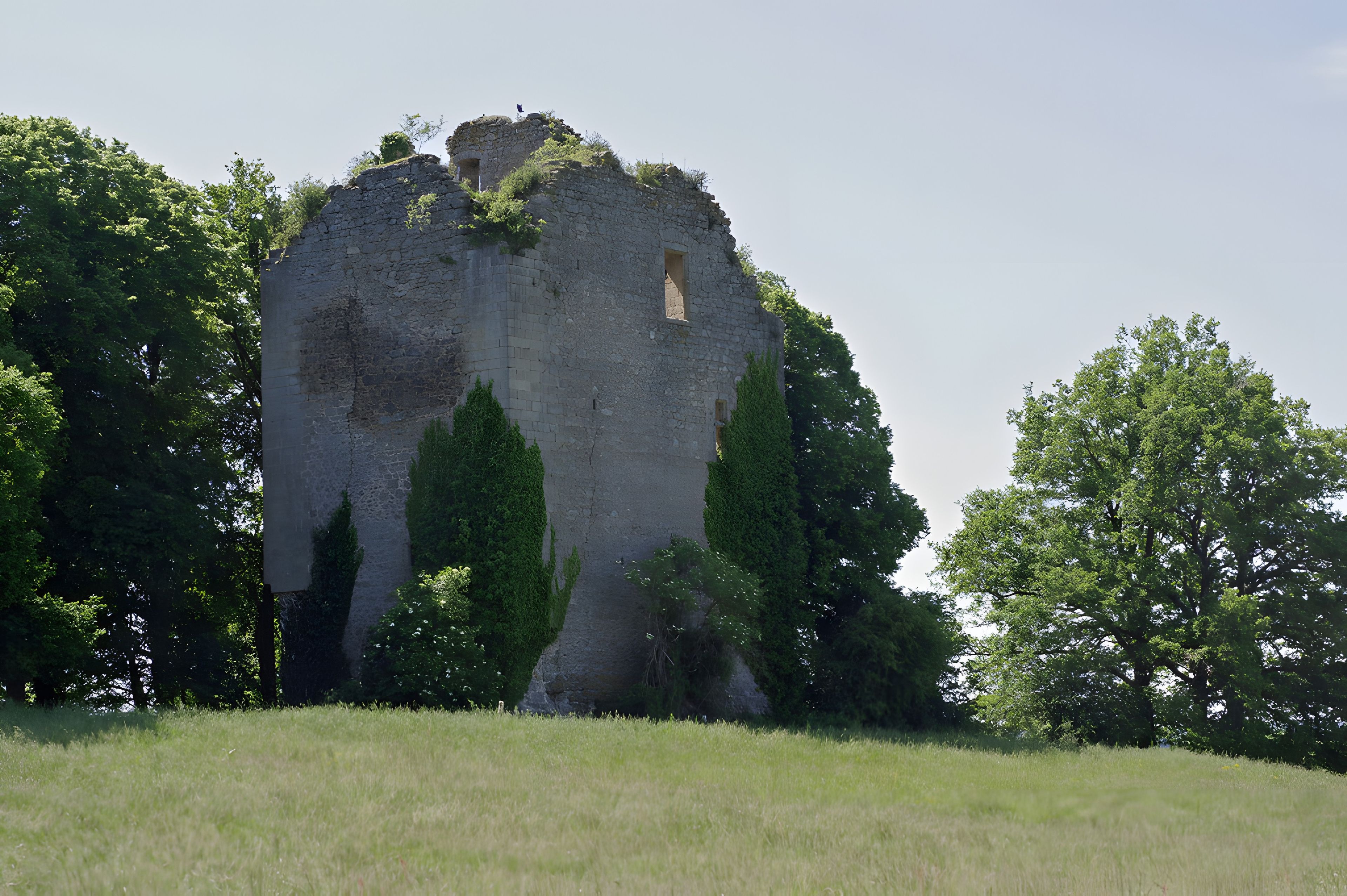 Une vaste structure de pierre ancienne, dotée d’un étroit passage menant à l’intérieur, et entourée d’une végétation luxuriante.