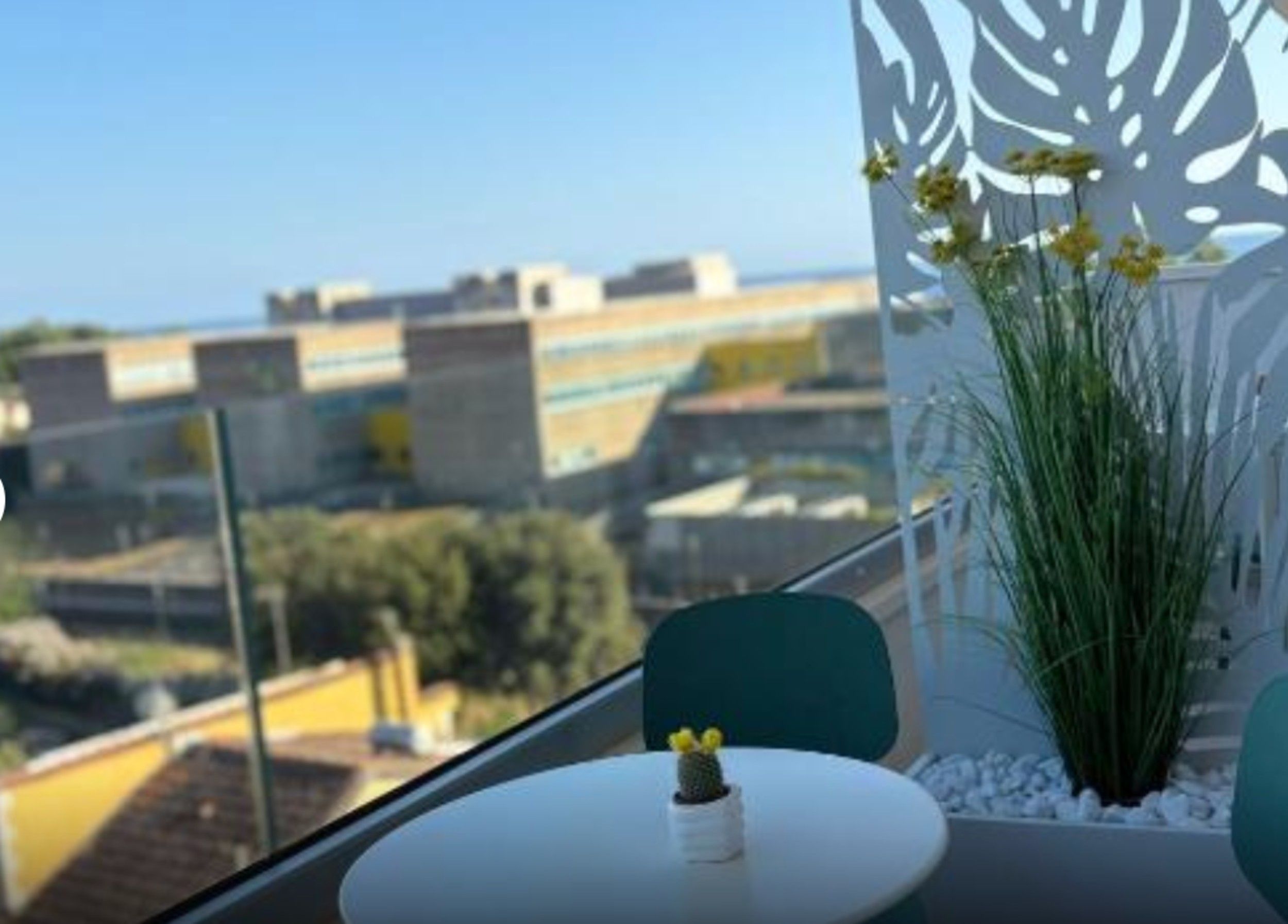Un balcone con vista su edifici, un cactus e una pianta con fiori gialli.