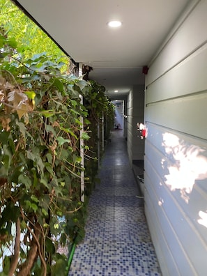 Un pasillo estrecho con suelo de baldosas, una pared a un lado y una pared cubierta de plantas al otro.