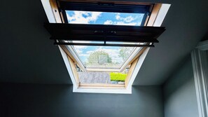 Ein Dachfenster in einem Zimmer mit Blick auf den Himmel und einen grünen Heckenstreifen draußen.