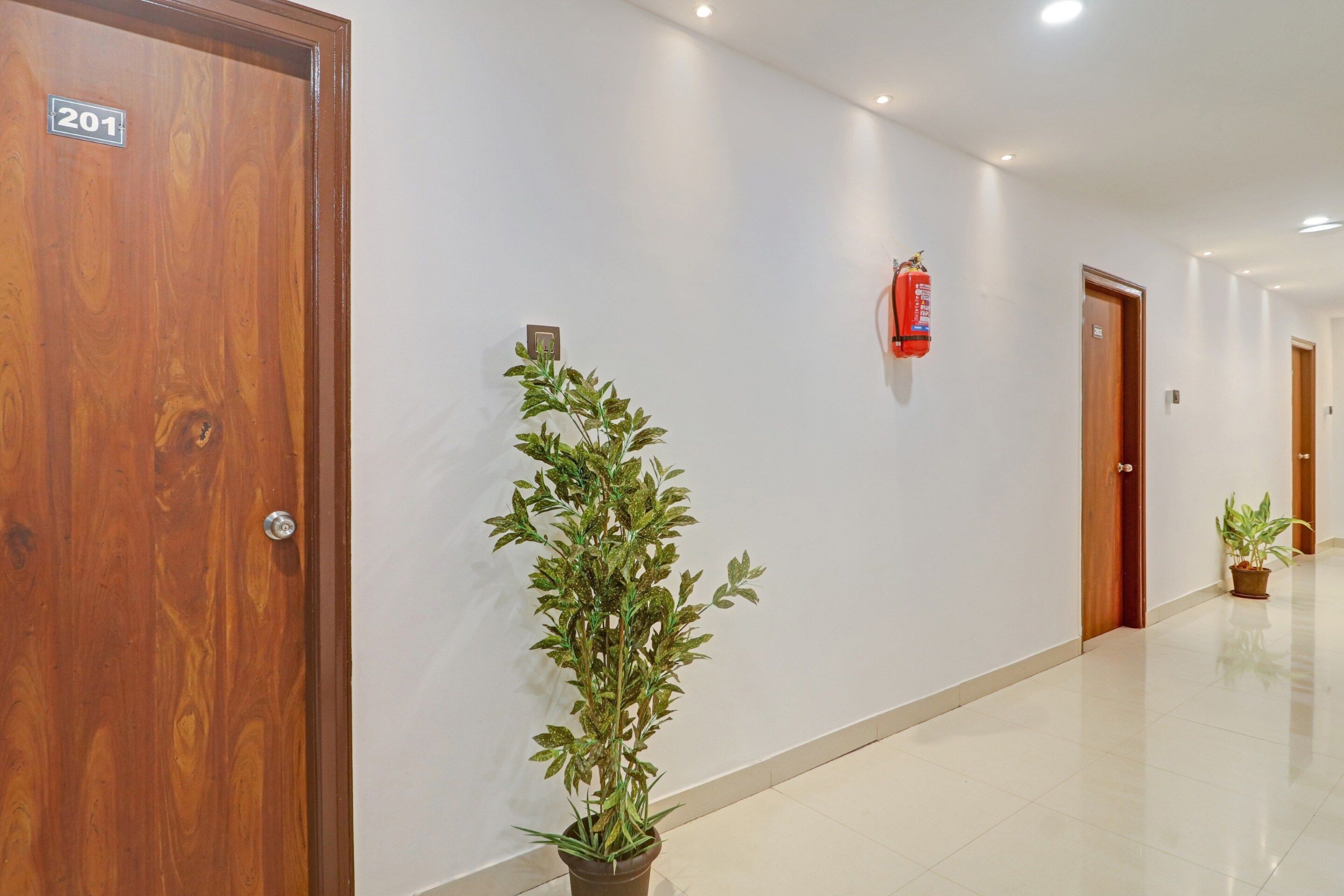 A hallway with a wooden door labeled '201', a fire extinguisher mounted on the wall, and a potted plant.