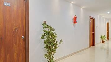 A hallway with a wooden door labeled '201', a fire extinguisher mounted on the wall, and a potted plant.