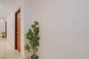 Un pasillo con una planta en maceta, una puerta de madera y un interruptor de luz en la pared.