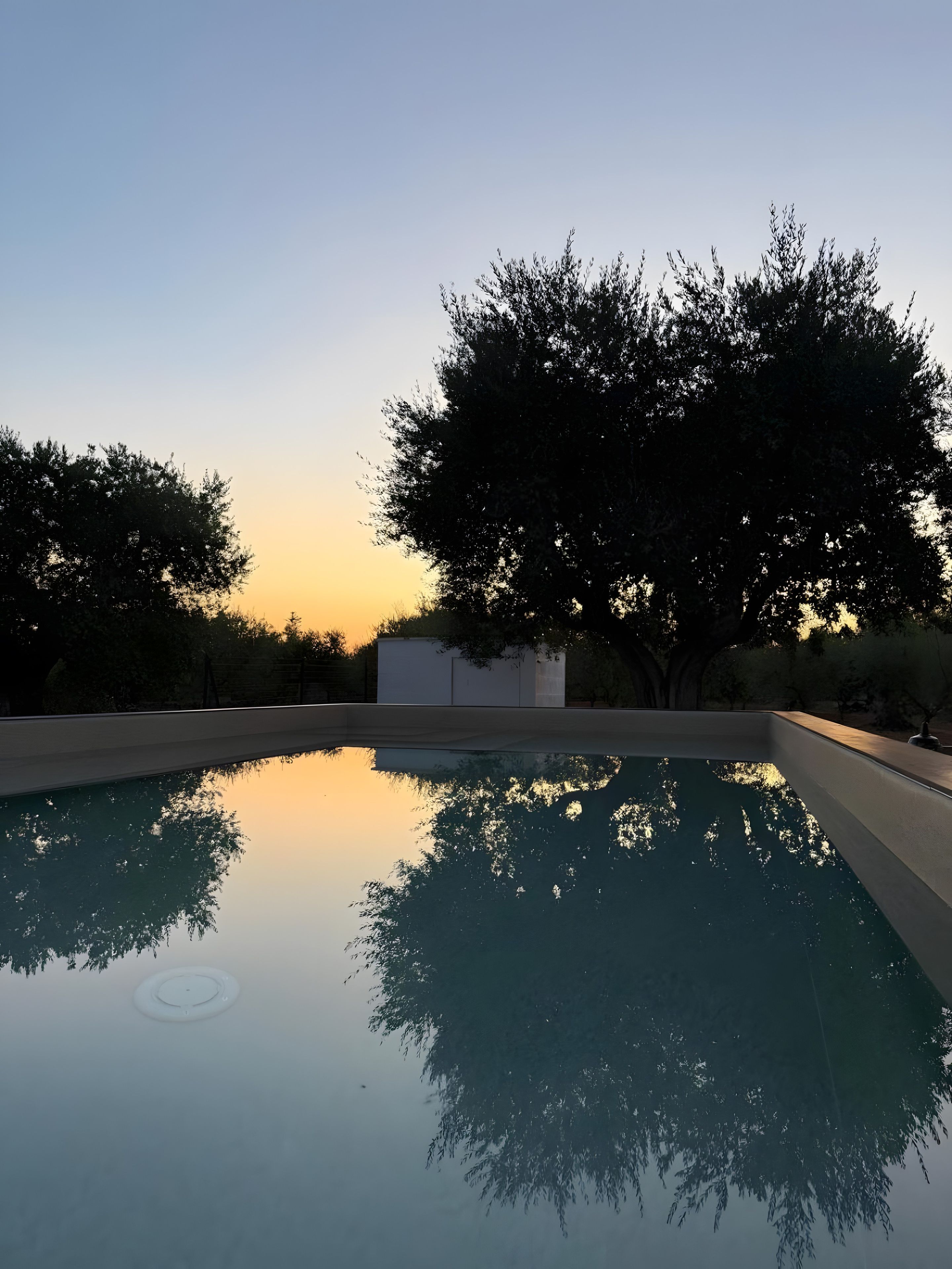 A swimming pool with a clear reflection of trees and a building in the background.