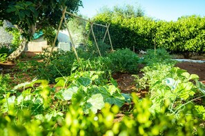 Un jardín con diversas plantas y una estructura de madera tipo celosía.