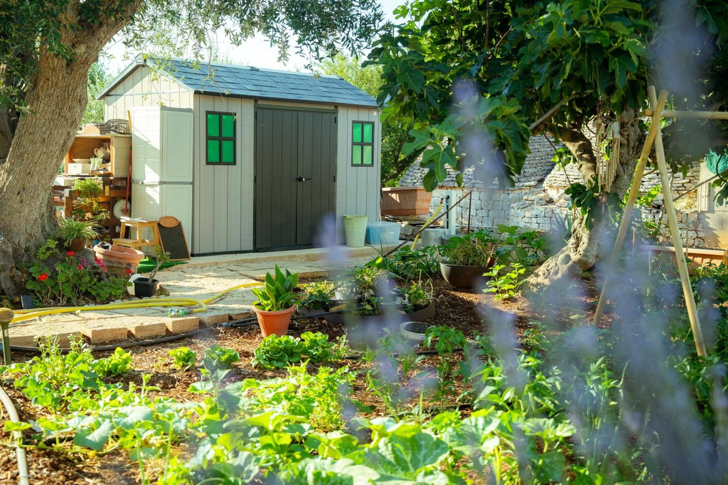 Een klein, laag bij de grond gelegen tuinhuisje met een donkere deur en ramen, omringd door een tuin met verschillende planten en een waterslang.