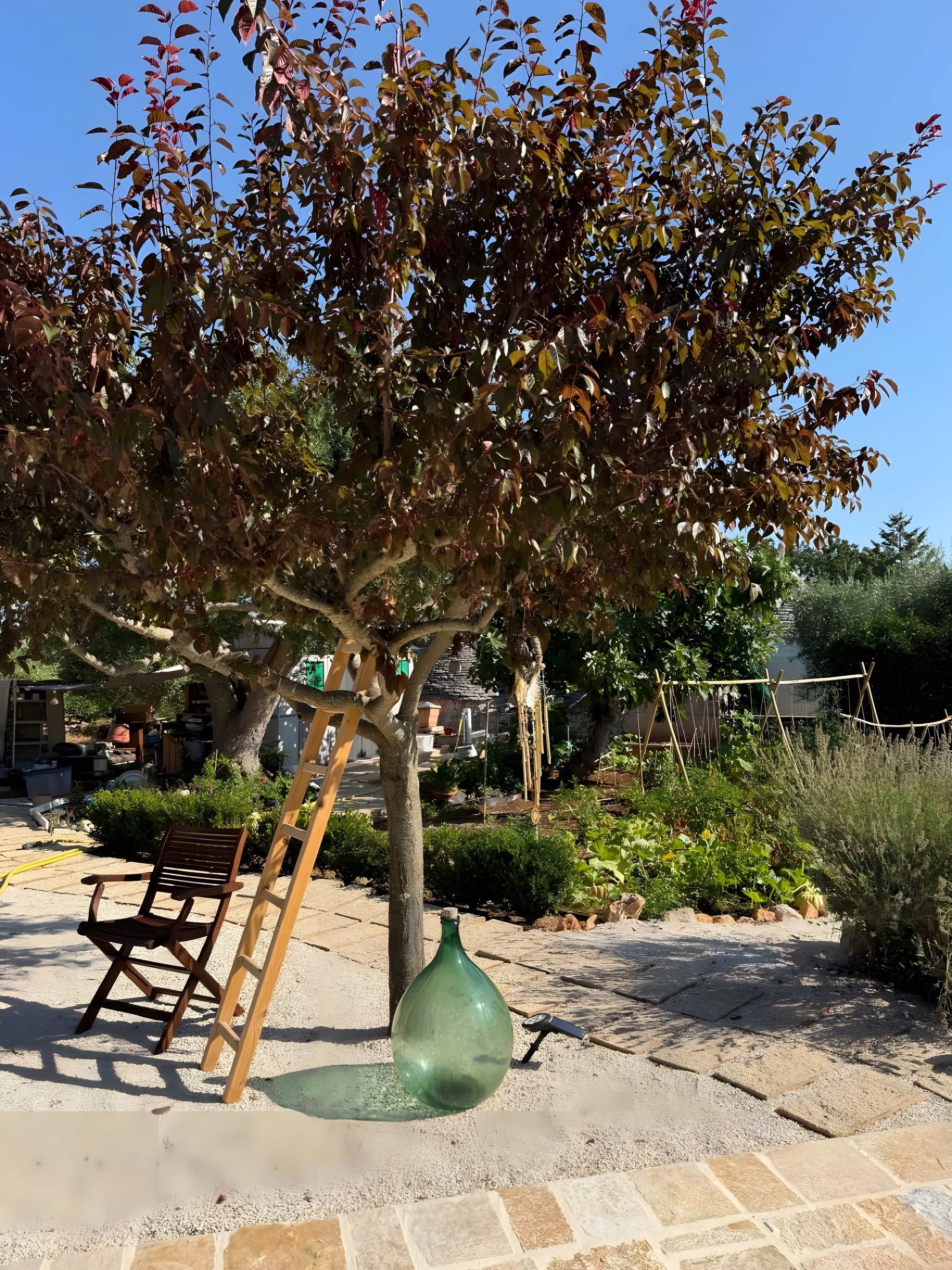 Un arbre avec un banc en bois et un vase vert dans un espace aménagé en jardin.