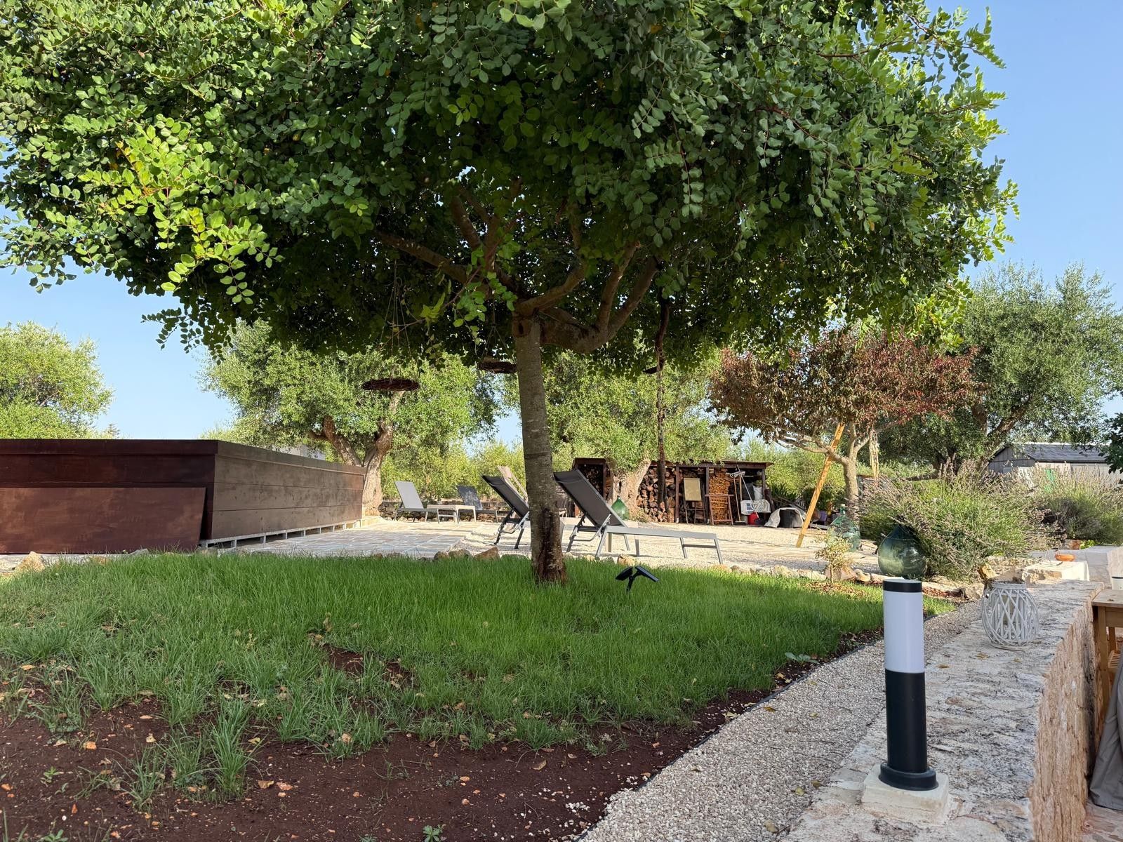 Ein Gartenbereich mit Baum, Holzkonstruktion und gepflastertem Weg.