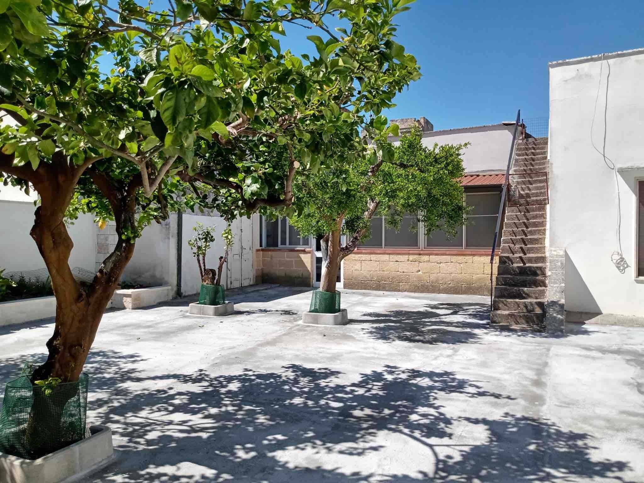 A courtyard with trees, a staircase, and a building with a tiled roof.