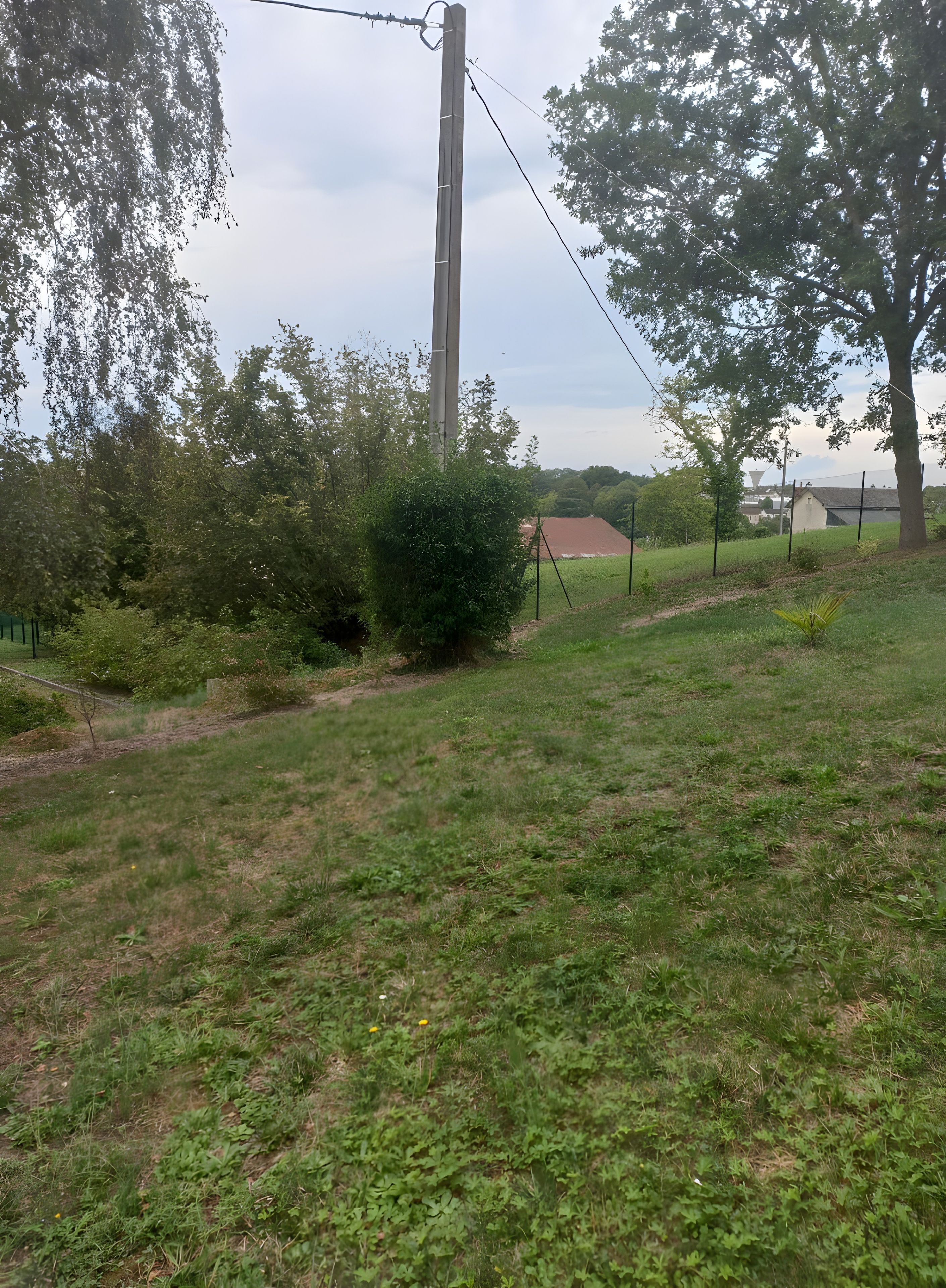 Une zone herbeuse avec un poteau électrique, des arbres et un bâtiment en arrière-plan.