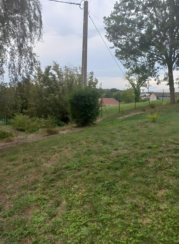A grassy area with a utility pole, trees, and a building in the background.