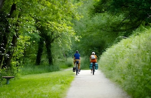 Een pad omzoomd door weelderige begroeiing, waarschijnlijk een park of wandelpad.