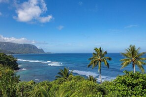 A coastal landscape with clear skies, ocean waves, and tropical vegetation. - Pali Ke Kua 124 - Bali Hai View, Beautiful Ocn Frt condo (Princeville)
