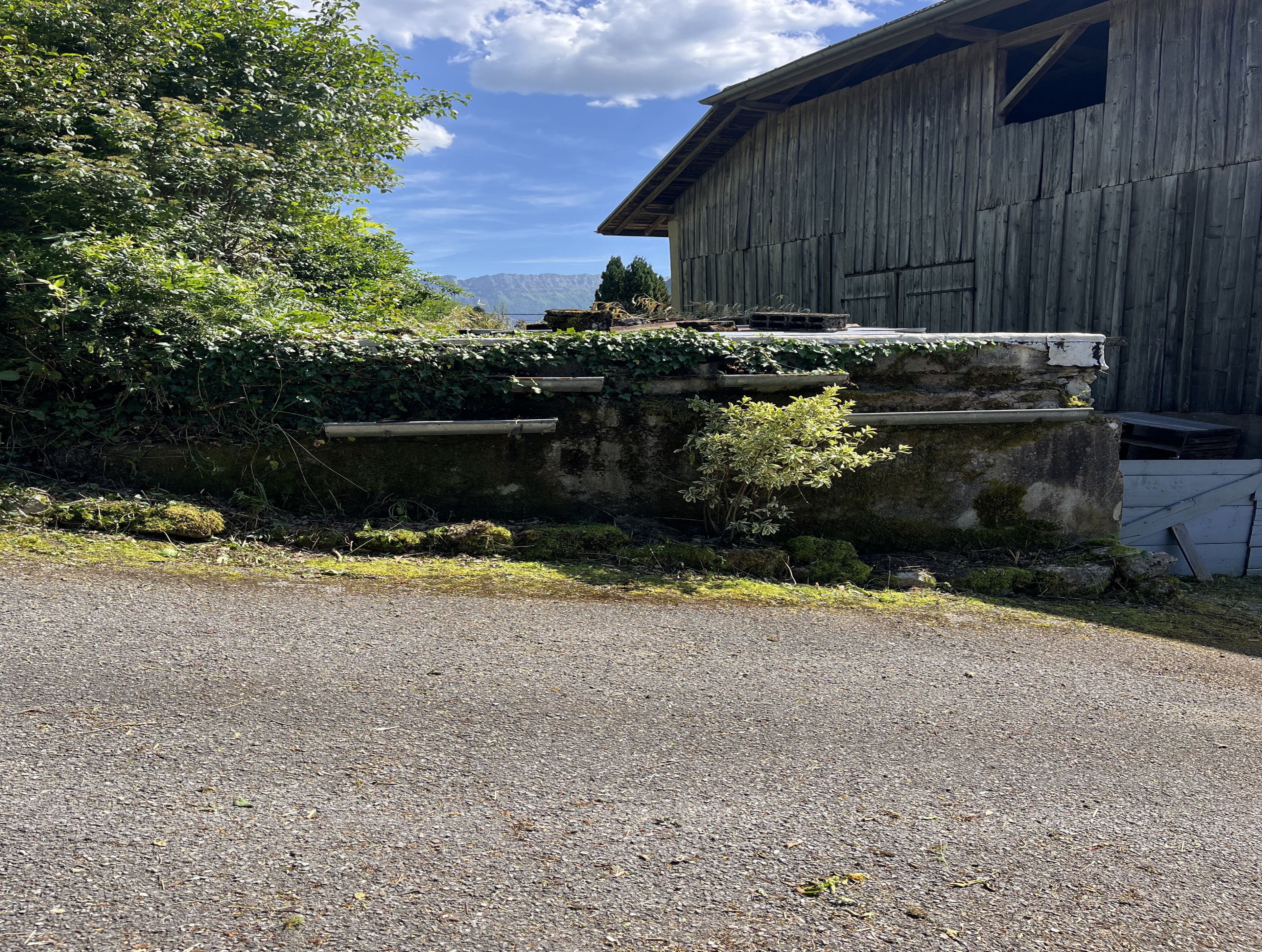 A gravel driveway leading to a rustic wooden building with a stone wall and greenery.