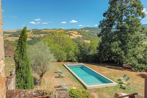 A rectangular swimming pool with a clear blue water surface, surrounded by a grassy area with several lounge chairs. In the background, there are rolling hills and a variety of trees, including a tall evergreen. - The Château du Mas, near Lyon (Bessenay)