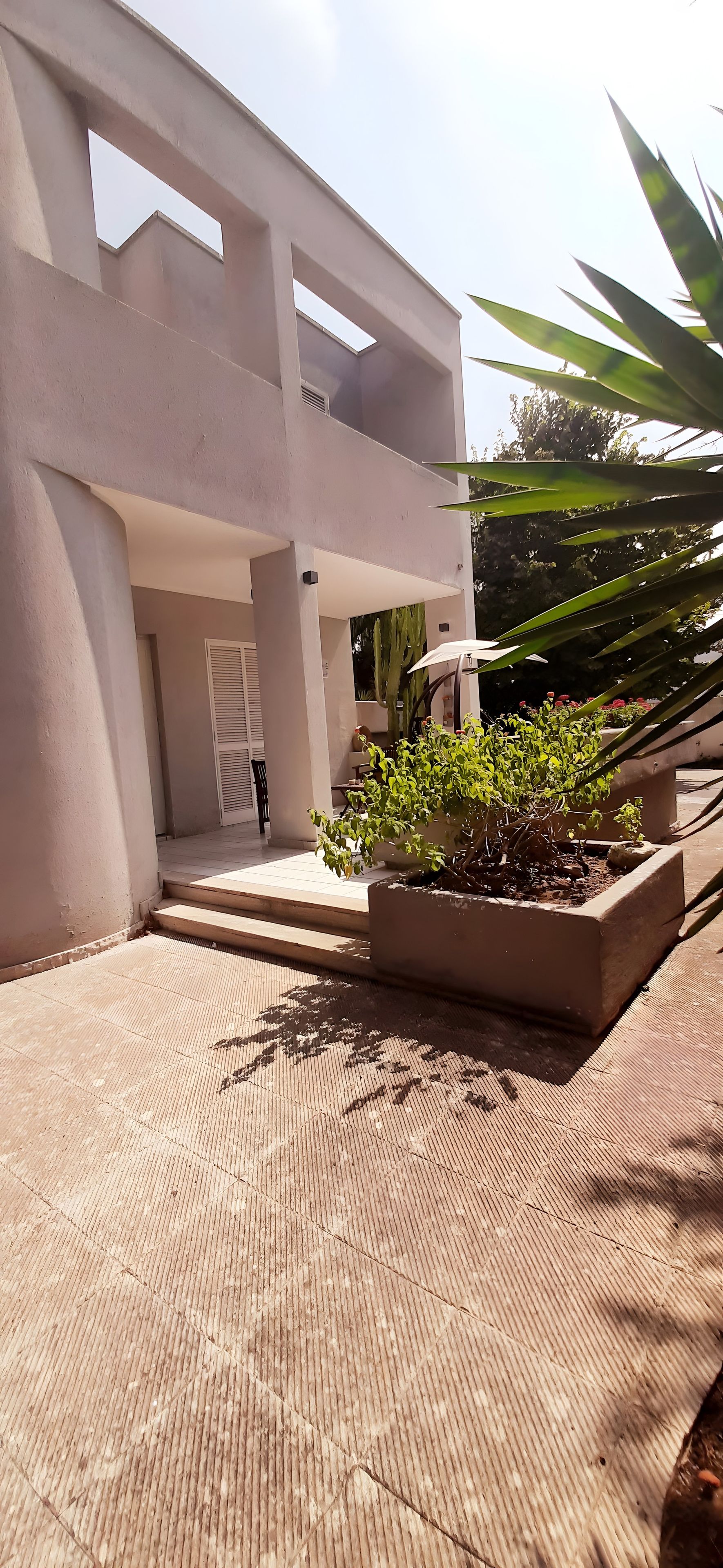 Un edificio moderno con techo plano, un acceso cubierto y un pequeño jardín con una jardinera y un cactus.