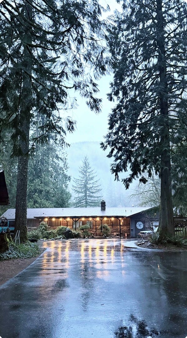 A wooden cabin with a porch, surrounded by tall trees and a misty background.