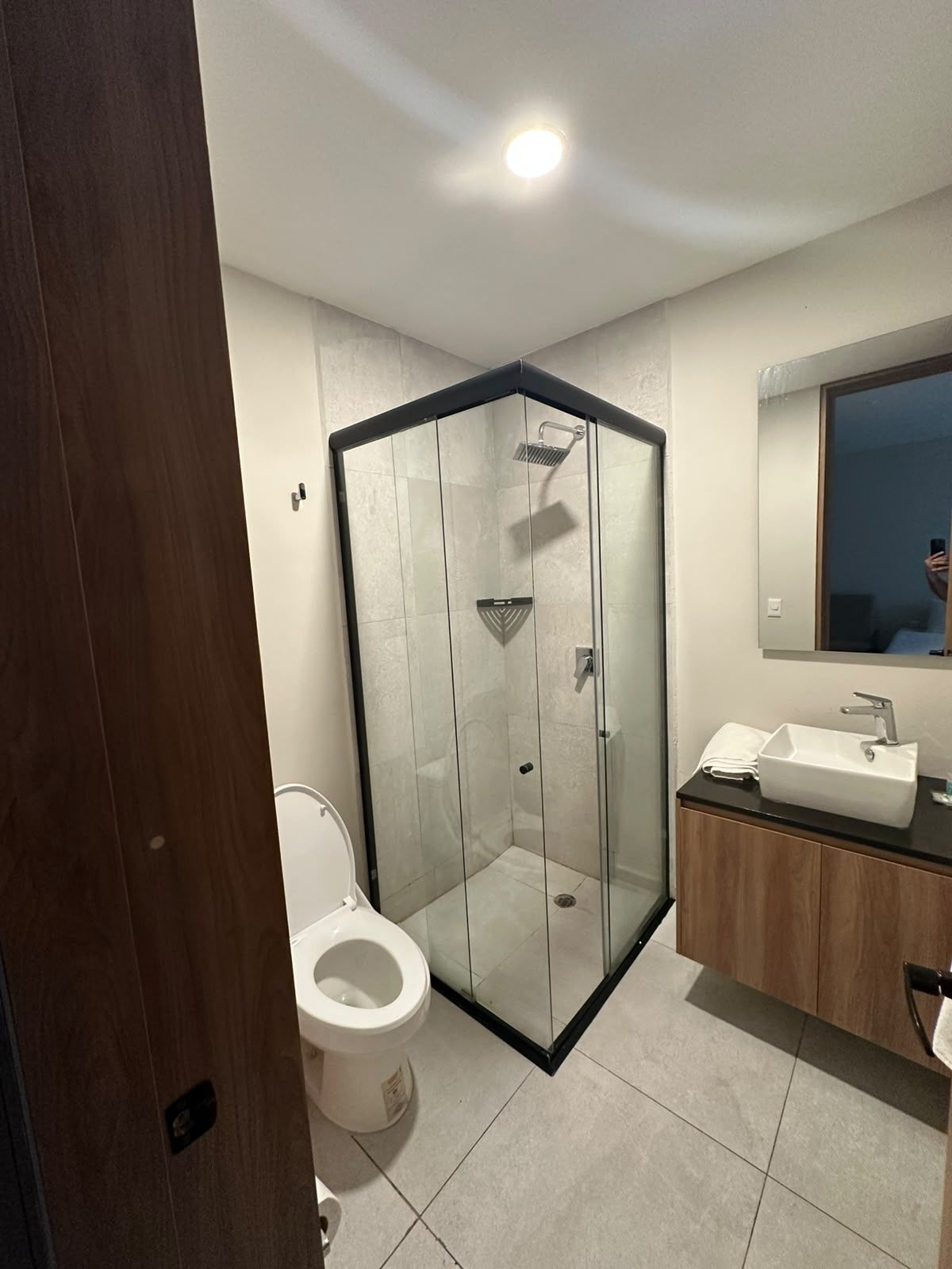 A modern bathroom with a glass-enclosed shower, a toilet, and a vanity with a sink and mirror.