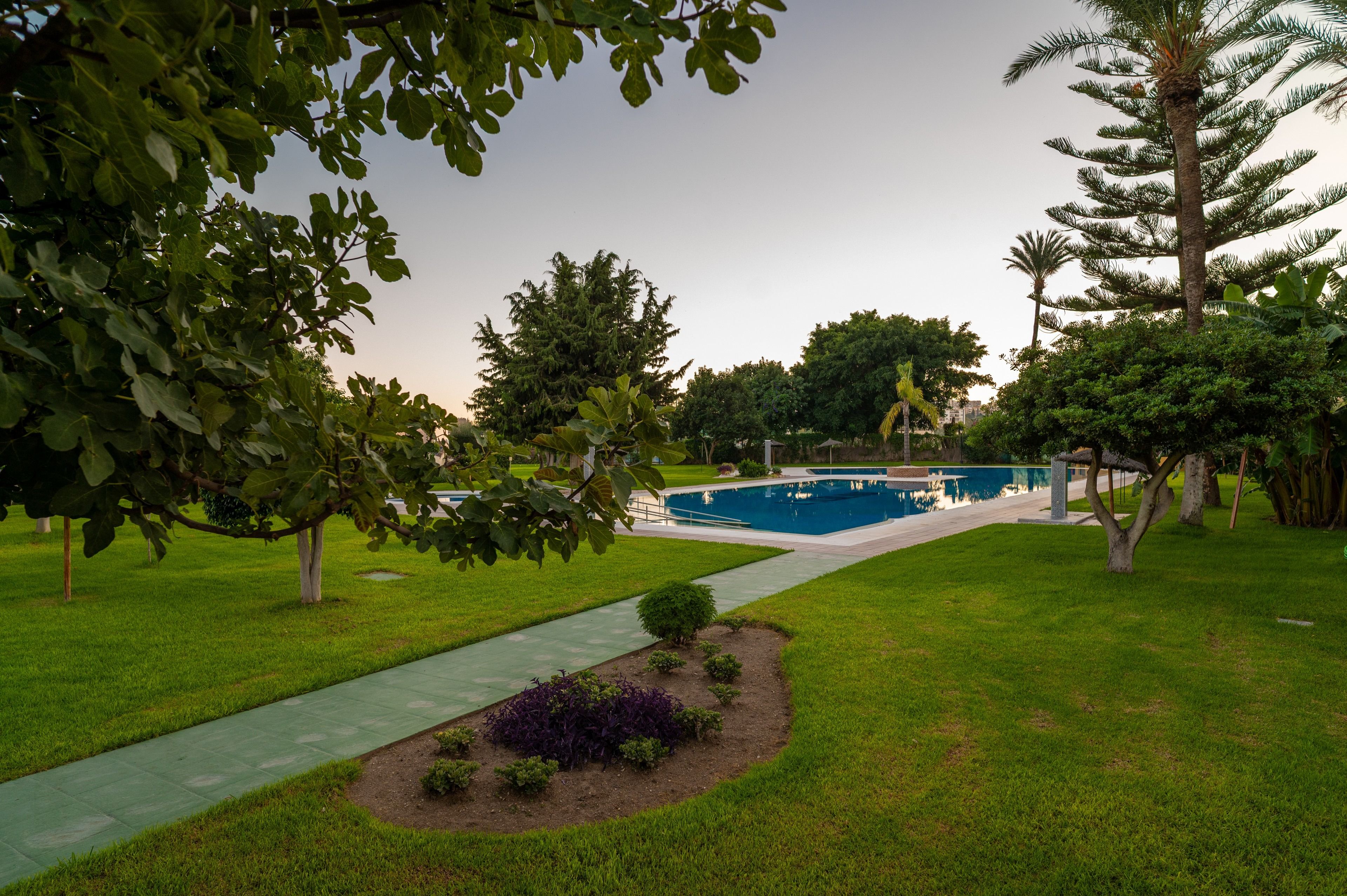A landscaped garden with a swimming pool, a walking path, and various trees.
