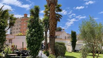 Un patio con un camino de piedra, palmeras y un edificio al fondo.