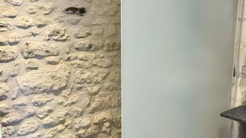 Un baño con pared de piedra, puerta blanca y suelo de baldosas negras.