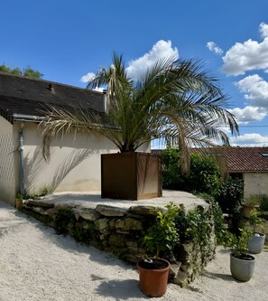 A building with a stone wall, a palm tree, and potted plants.