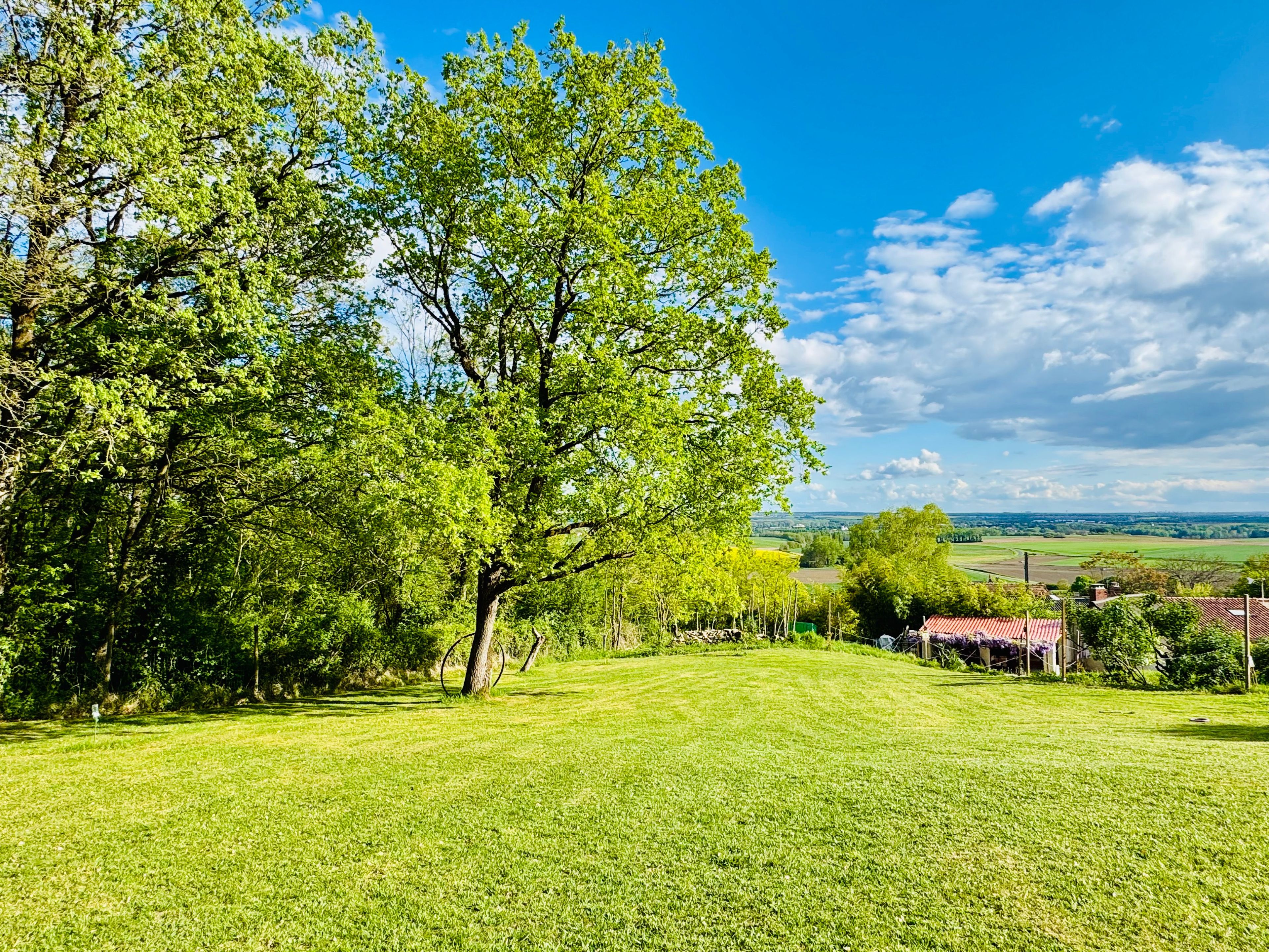 Un champ verdoyant avec un grand arbre et une vue sur un paysage rural.