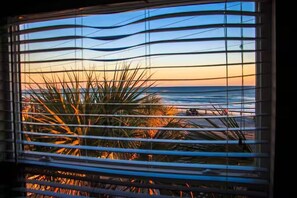 Een raam met horizontale zonwering, uitzicht op de oceaan en een palmboom.