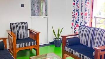 Une pièce avec un sol vert, deux canapés dotés de coussins à rayures, une table basse en bois et une plante en pot.