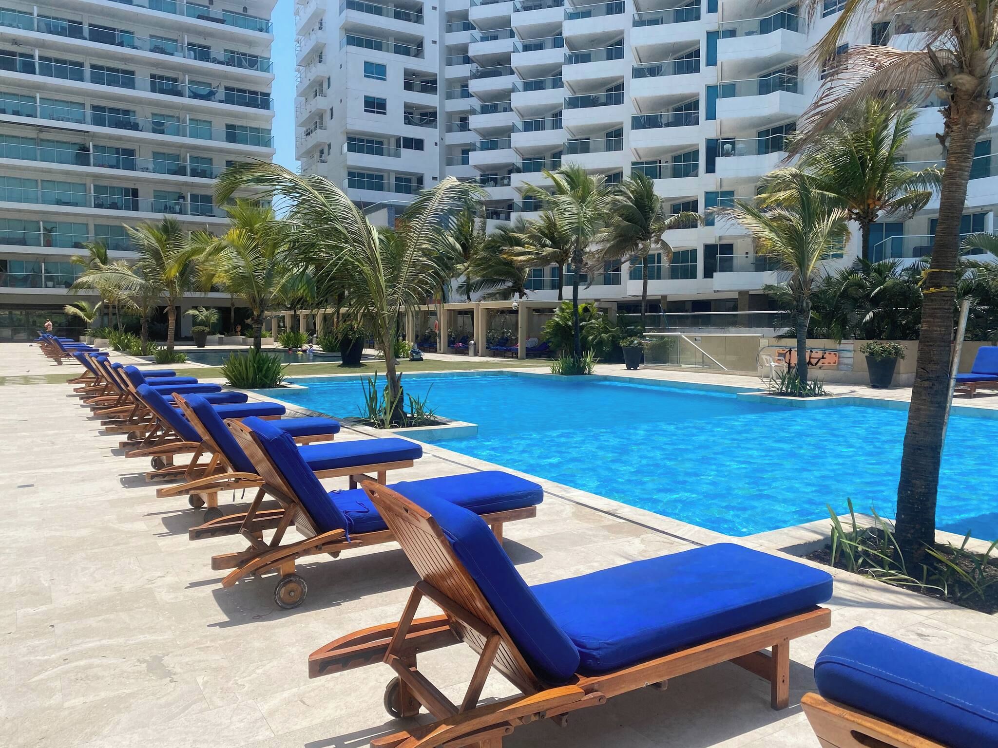 Un área de piscina con tumbonas y palmeras.