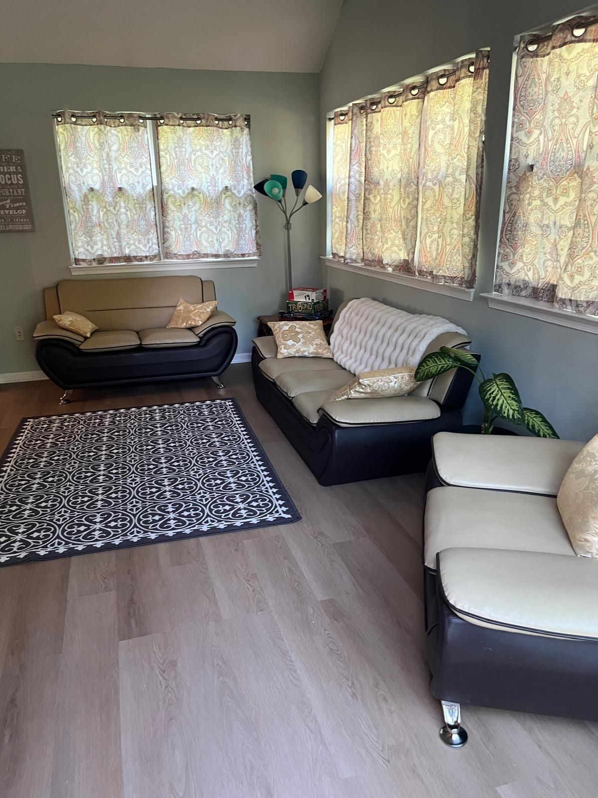 Una sala de estar con un sofá, un tapete estampado y una planta en maceta.