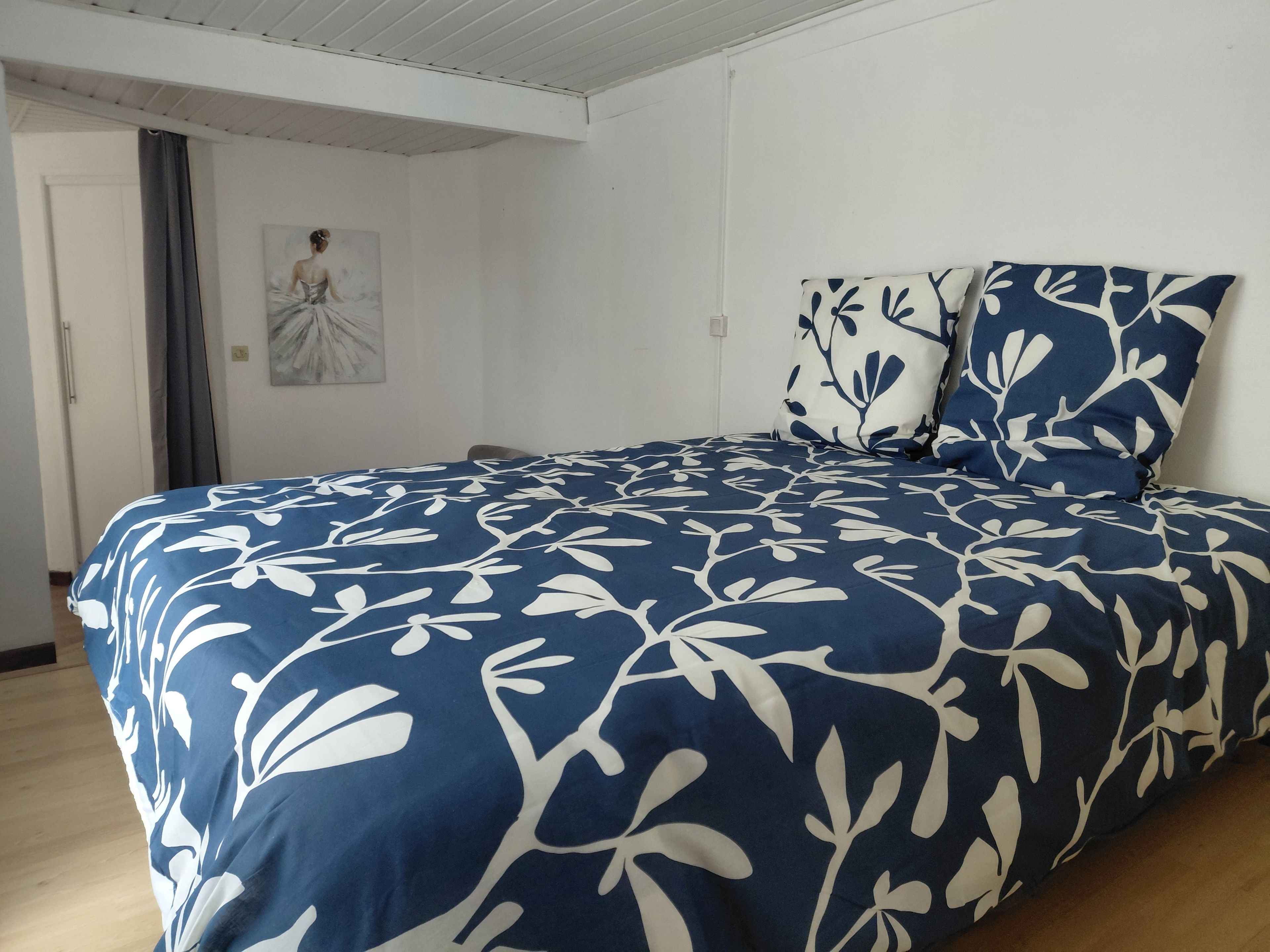 Una camera da letto con un letto grande, un quadro al muro e una porta.