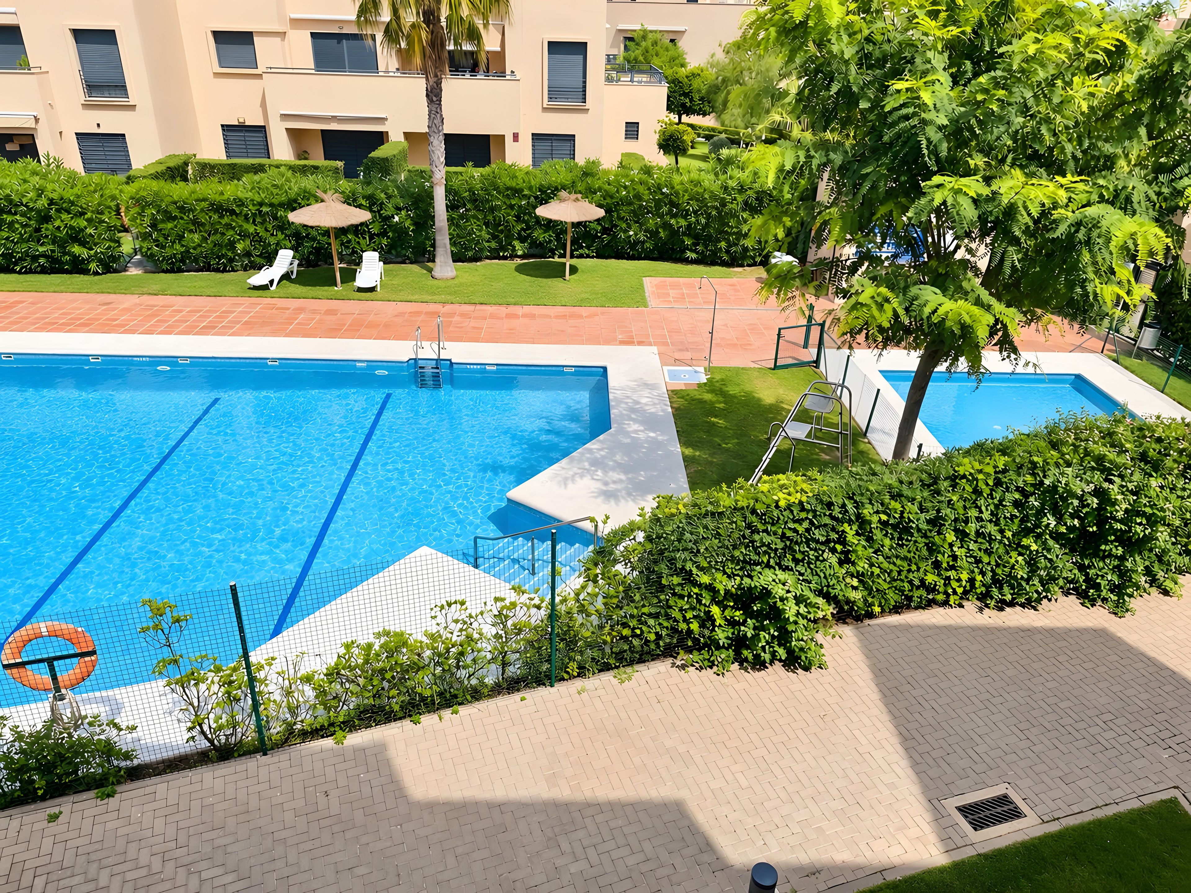 Piscina con una silla de salvavidas y una palmera.