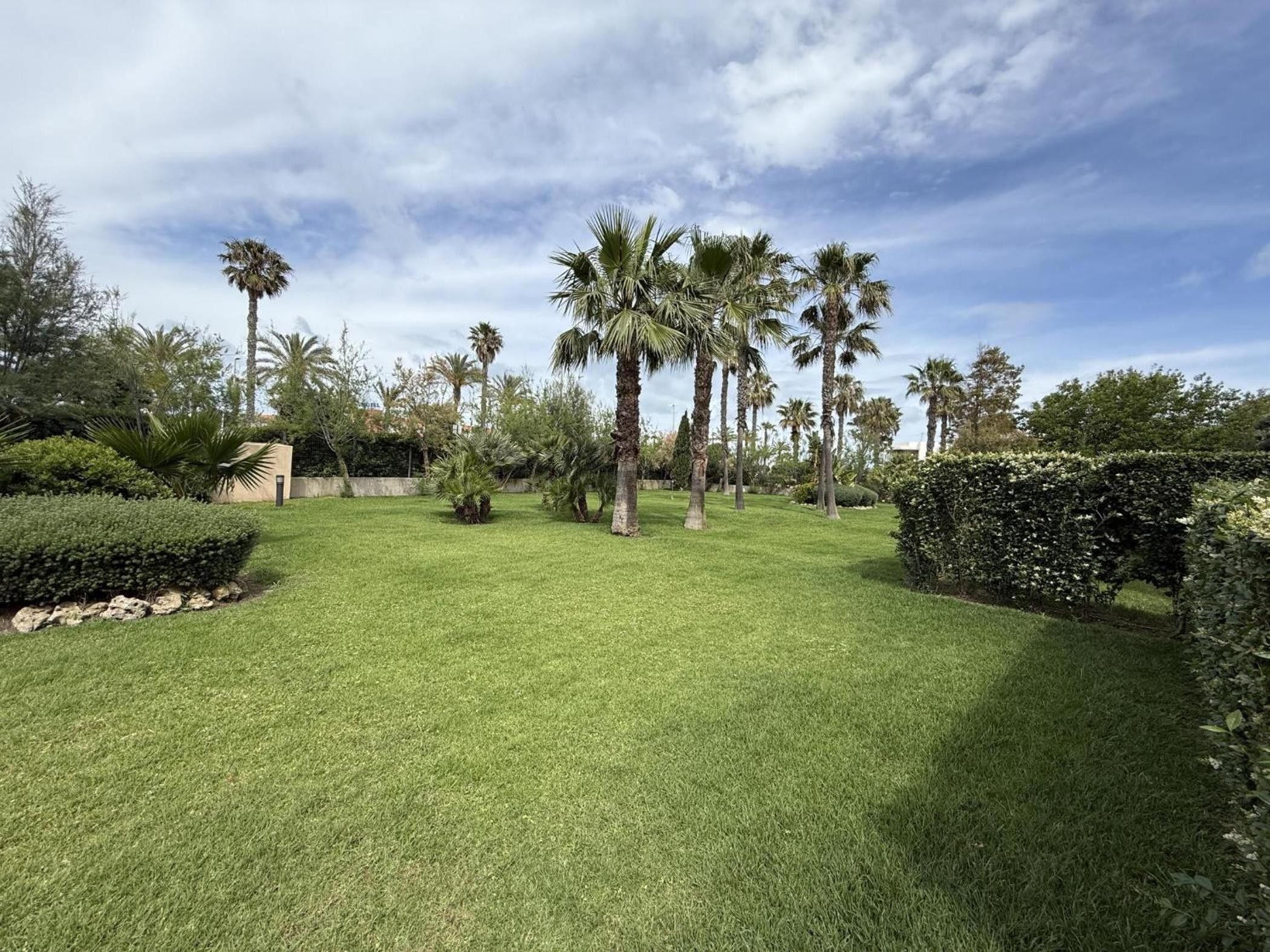 A well-maintained grassy area with palm trees and various shrubs.