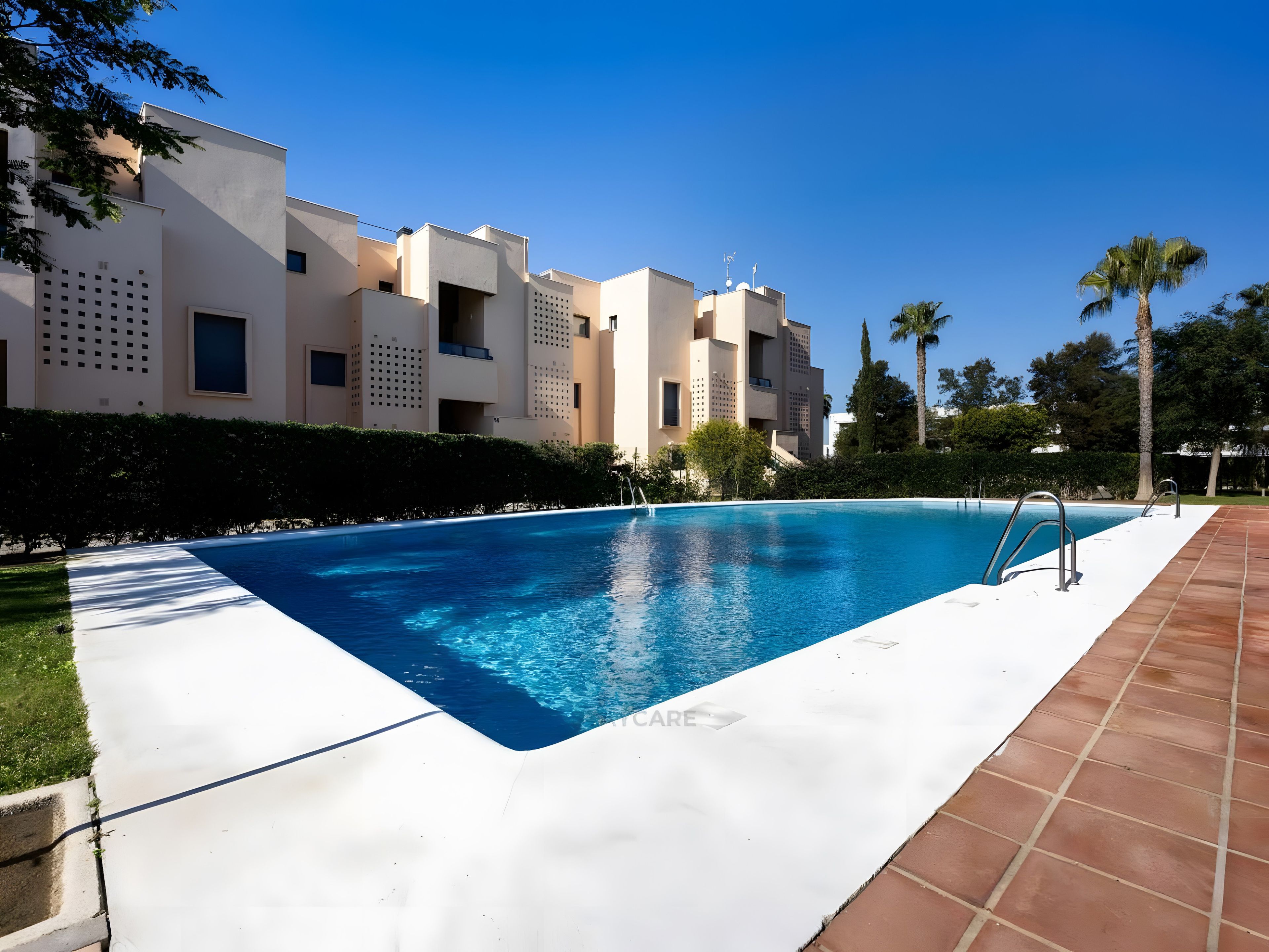 A swimming pool with a white deck, surrounded by a hedge and palm trees, with modern buildings in the background.