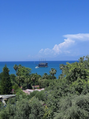 A coastal view with a ship in the distance, surrounded by dense greenery and a clear blue sky.