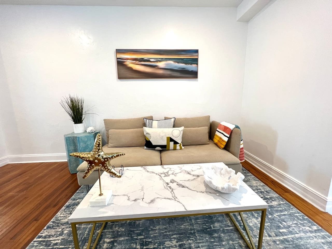 A living room with a sofa, a coffee table, and a starfish decoration.