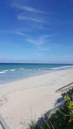 Ein Strand mit blauem Himmel und ruhiger See.