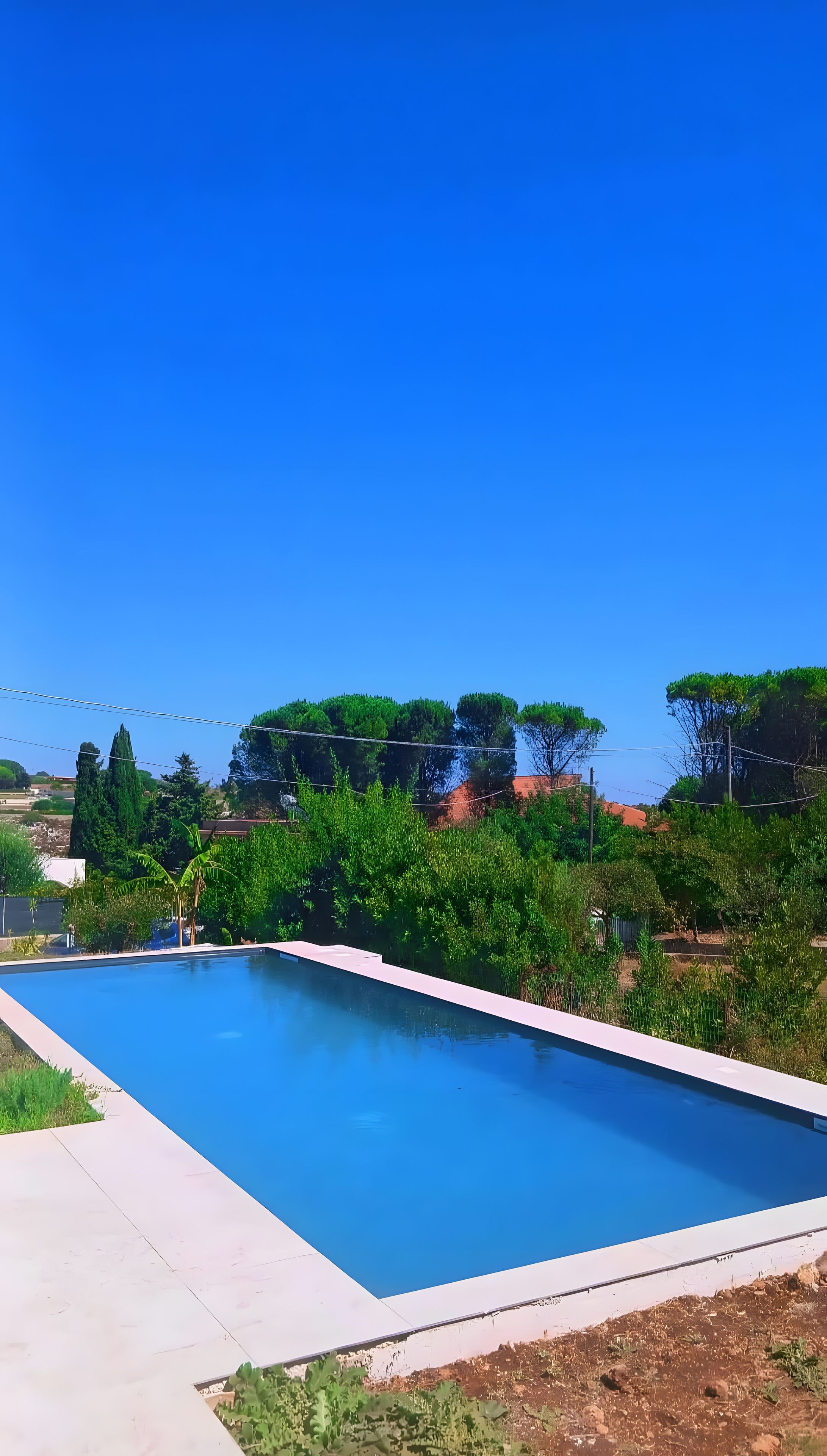 A rectangular swimming pool with a clear blue water surface, surrounded by greenery and trees.
