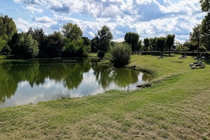 Un cadre paisible au bord du lac, avec une pelouse, des arbres et quelques chaises longues.
