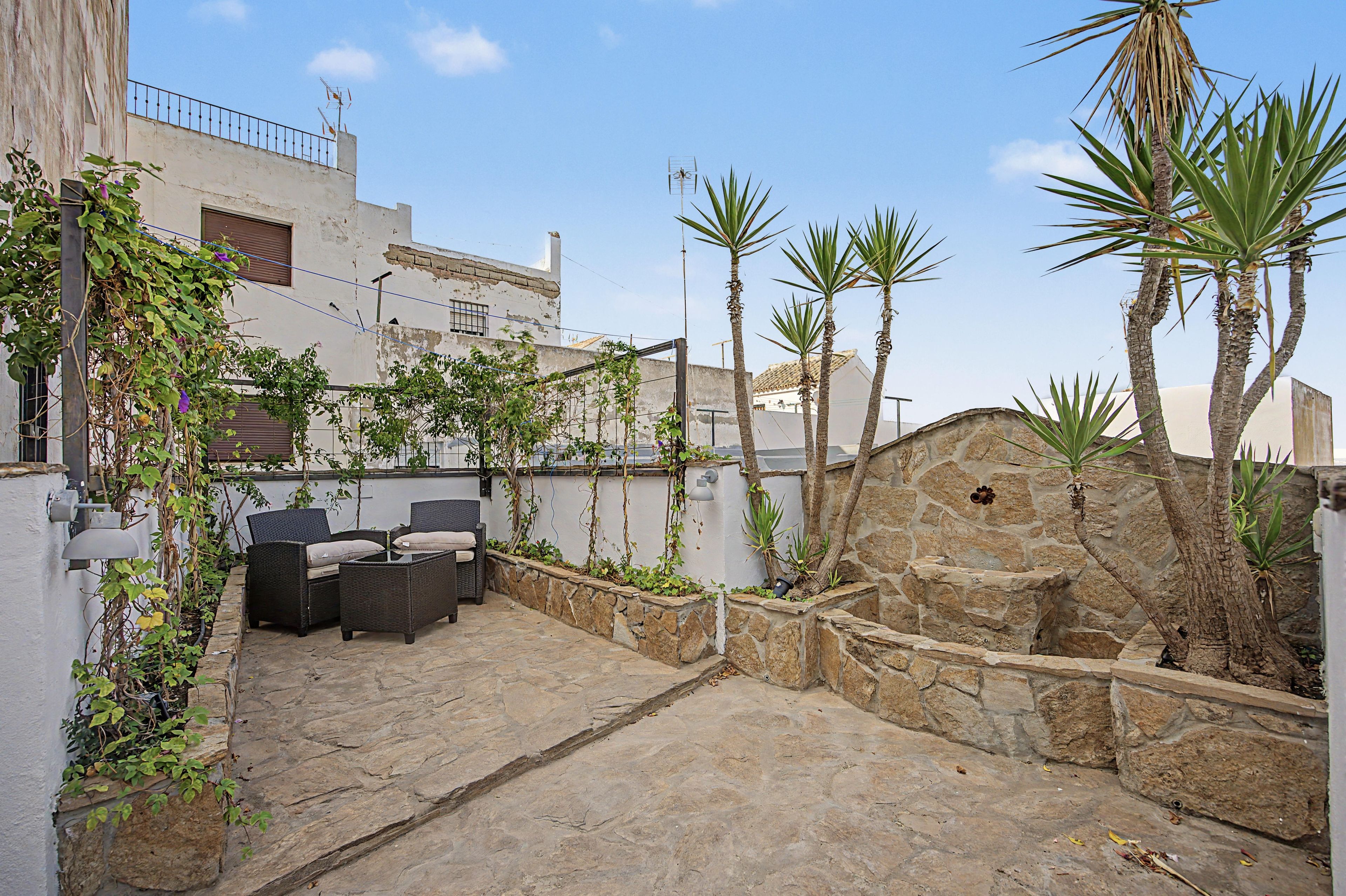 A courtyard with stone flooring, a seating area with cushions, and a variety of plants including palm trees and climbing vines.
